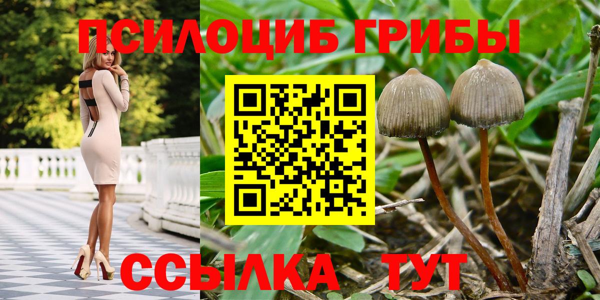 Псилоцибиновые грибы ЛСД Кстово
